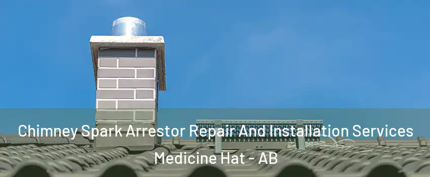  Chimney Spark Arrestor Repair And Installation Services Medicine Hat - AB