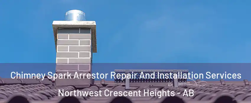  Chimney Spark Arrestor Repair And Installation Services Northwest Crescent Heights - AB