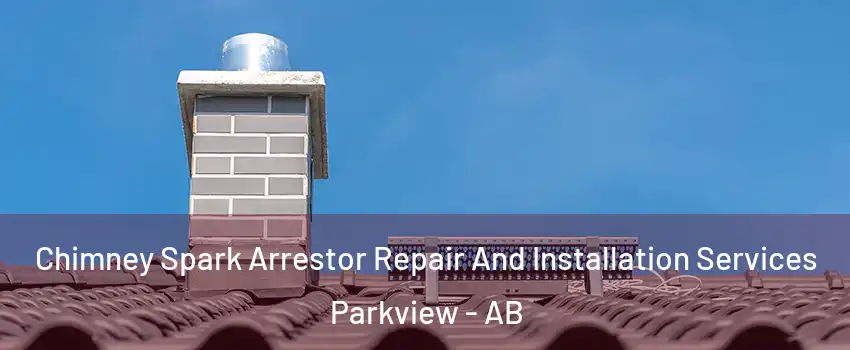  Chimney Spark Arrestor Repair And Installation Services Parkview - AB