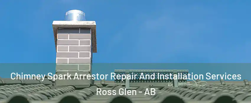  Chimney Spark Arrestor Repair And Installation Services Ross Glen - AB
