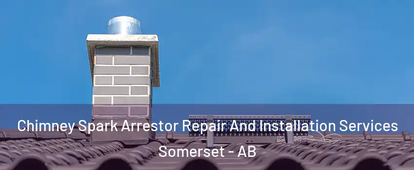 Chimney Spark Arrestor Repair And Installation Services Somerset - AB
