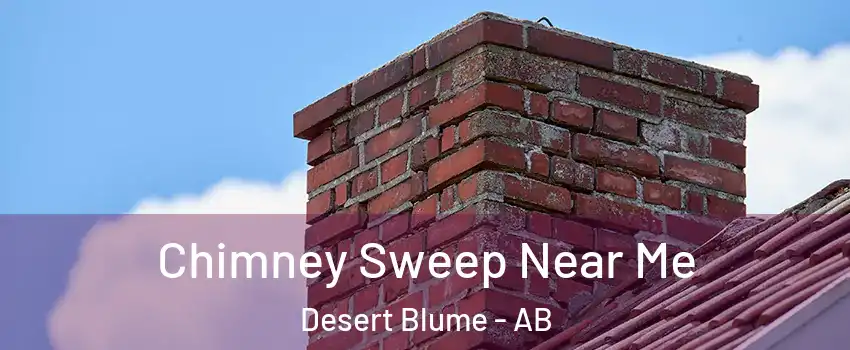  Chimney Sweep Near Me Desert Blume - AB