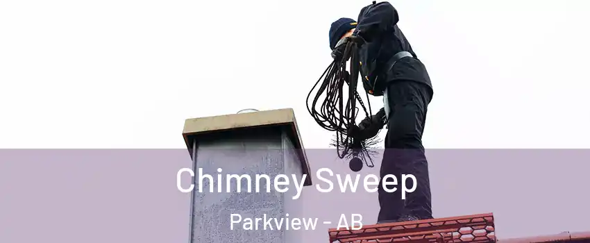  Chimney Sweep Parkview - AB