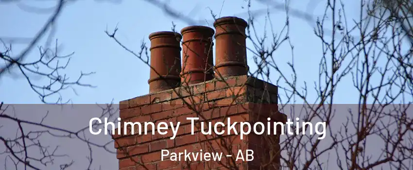  Chimney Tuckpointing Parkview - AB