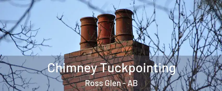  Chimney Tuckpointing Ross Glen - AB