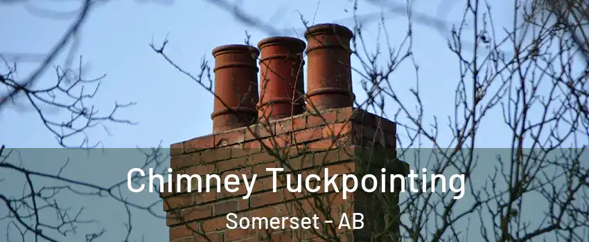  Chimney Tuckpointing Somerset - AB