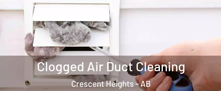  Clogged Air Duct Cleaning Crescent Heights - AB