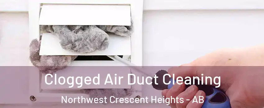  Clogged Air Duct Cleaning Northwest Crescent Heights - AB
