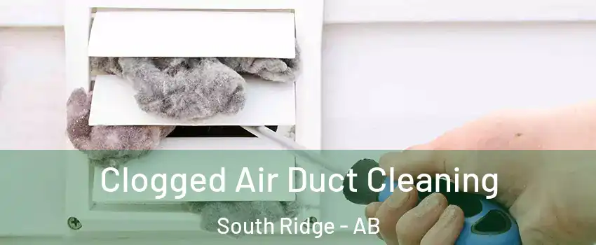  Clogged Air Duct Cleaning South Ridge - AB