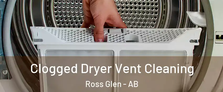  Clogged Dryer Vent Cleaning Ross Glen - AB