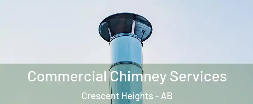  Commercial Chimney Services Crescent Heights - AB