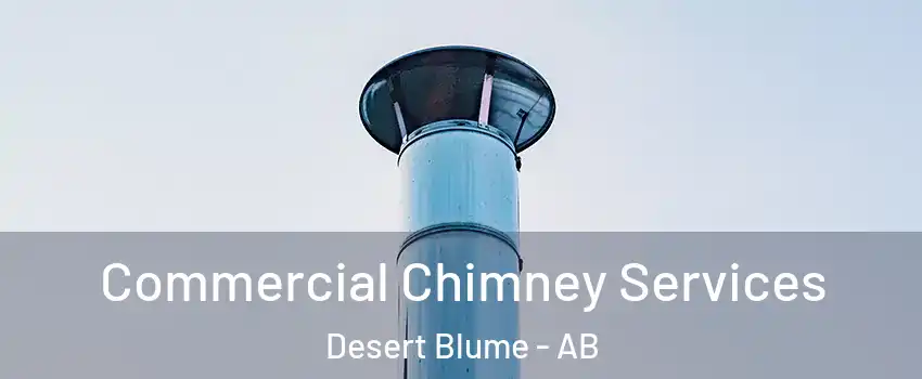  Commercial Chimney Services Desert Blume - AB