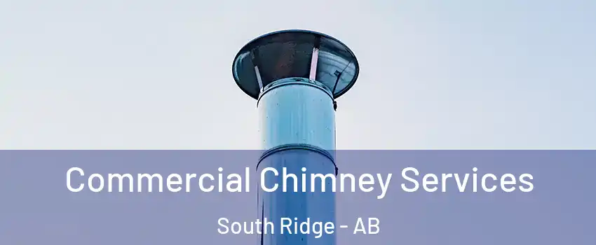  Commercial Chimney Services South Ridge - AB