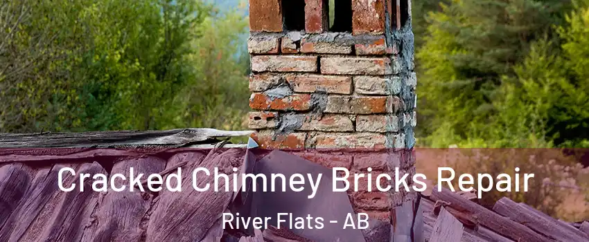  Cracked Chimney Bricks Repair River Flats - AB