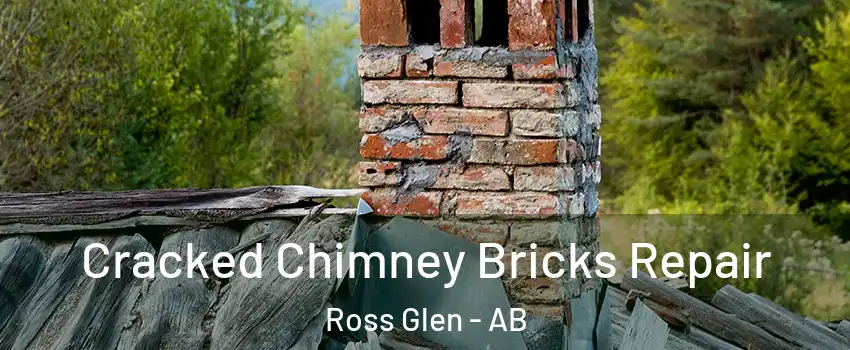  Cracked Chimney Bricks Repair Ross Glen - AB