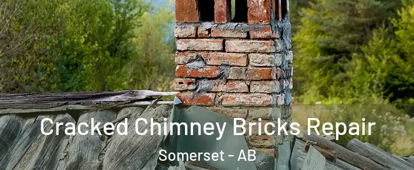  Cracked Chimney Bricks Repair Somerset - AB