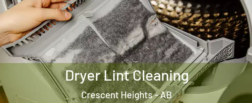  Dryer Lint Cleaning Crescent Heights - AB