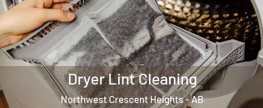  Dryer Lint Cleaning Northwest Crescent Heights - AB