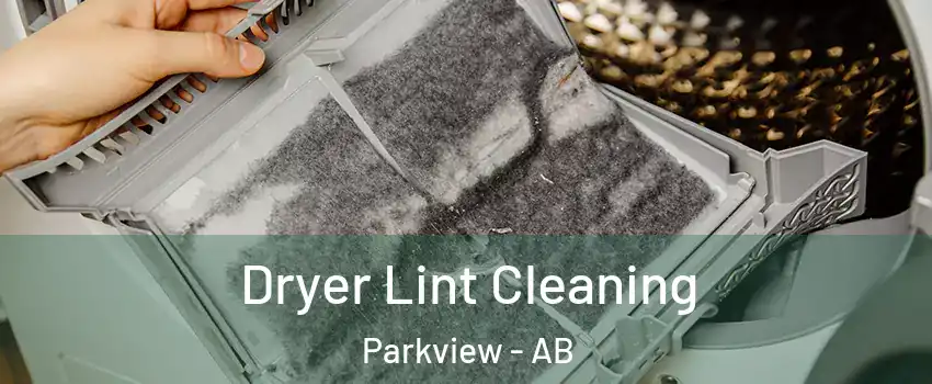  Dryer Lint Cleaning Parkview - AB