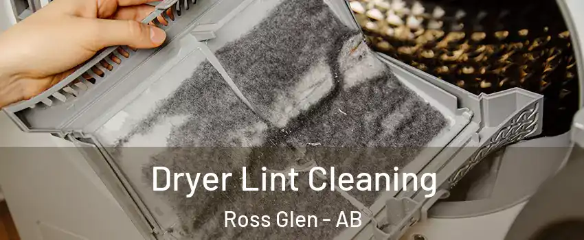  Dryer Lint Cleaning Ross Glen - AB