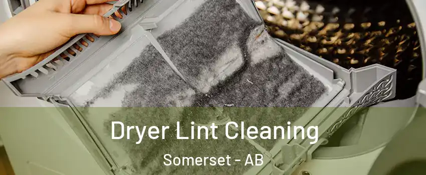  Dryer Lint Cleaning Somerset - AB