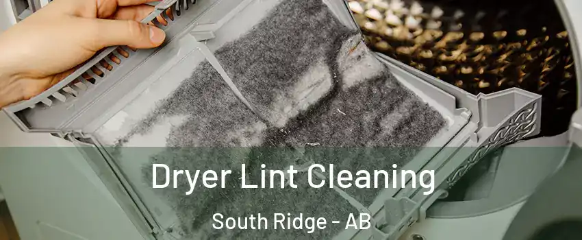  Dryer Lint Cleaning South Ridge - AB