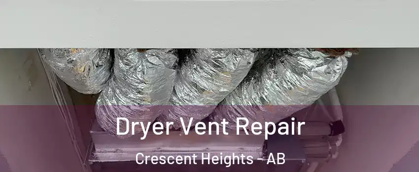  Dryer Vent Repair Crescent Heights - AB