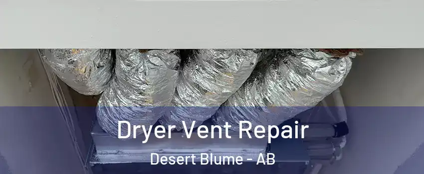  Dryer Vent Repair Desert Blume - AB