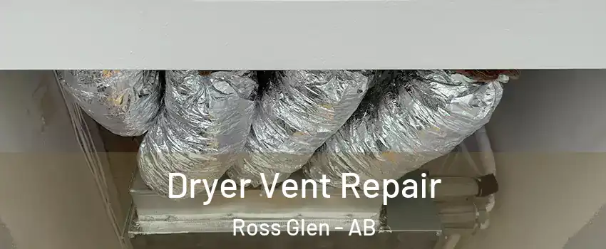  Dryer Vent Repair Ross Glen - AB