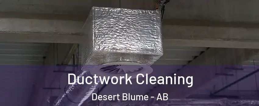  Ductwork Cleaning Desert Blume - AB
