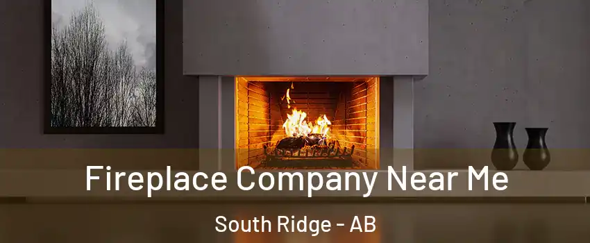  Fireplace Company Near Me South Ridge - AB