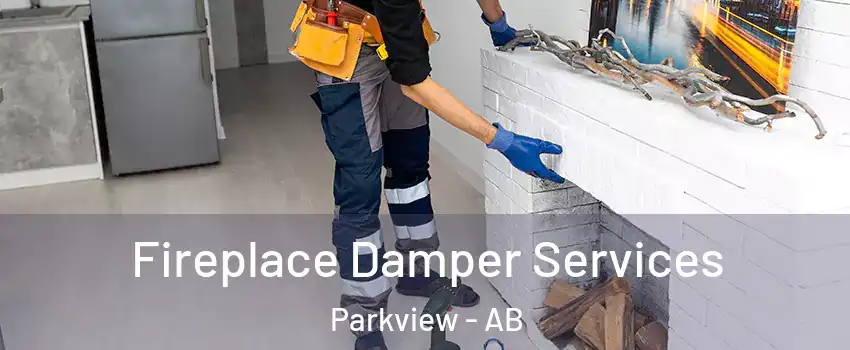  Fireplace Damper Services Parkview - AB
