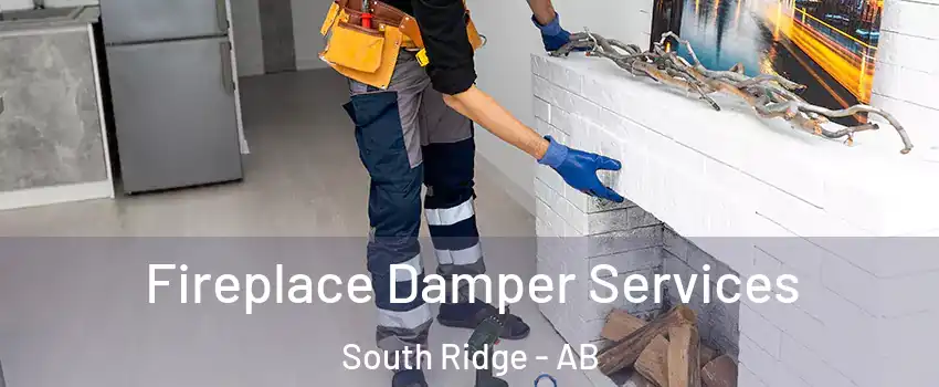  Fireplace Damper Services South Ridge - AB