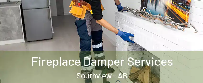 Fireplace Damper Services Southview - AB