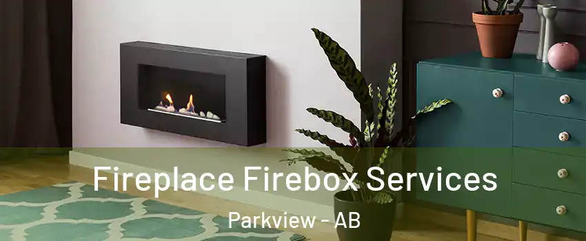  Fireplace Firebox Services Parkview - AB