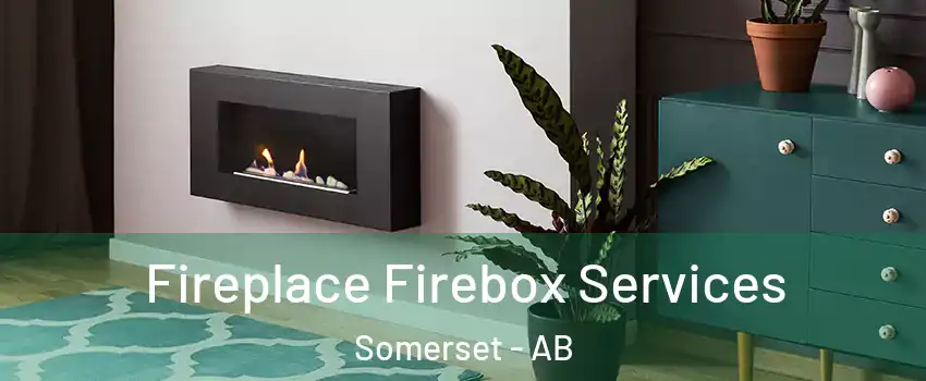  Fireplace Firebox Services Somerset - AB
