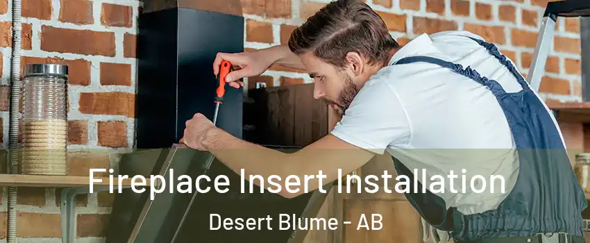  Fireplace Insert Installation Desert Blume - AB