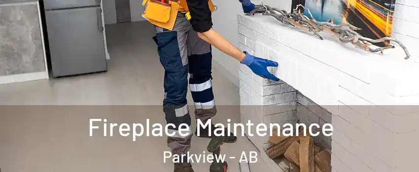  Fireplace Maintenance Parkview - AB