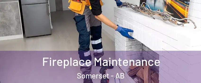  Fireplace Maintenance Somerset - AB