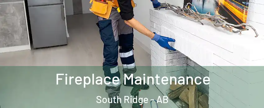  Fireplace Maintenance South Ridge - AB