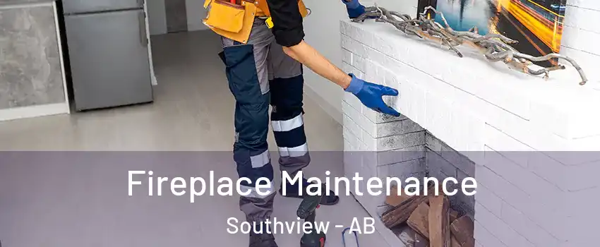  Fireplace Maintenance Southview - AB