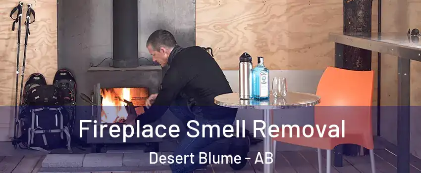  Fireplace Smell Removal Desert Blume - AB