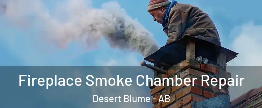  Fireplace Smoke Chamber Repair Desert Blume - AB