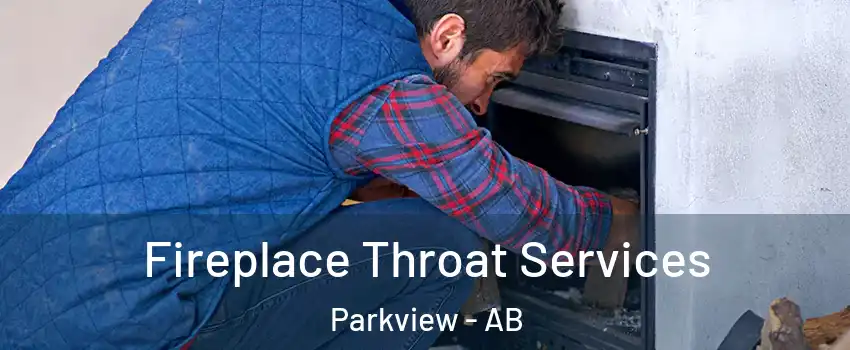  Fireplace Throat Services Parkview - AB