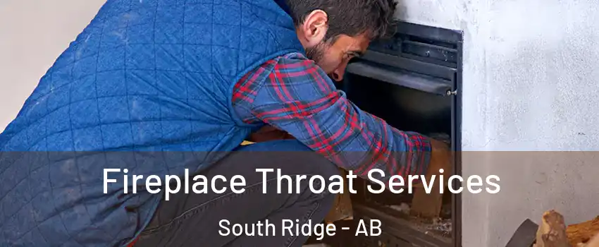  Fireplace Throat Services South Ridge - AB