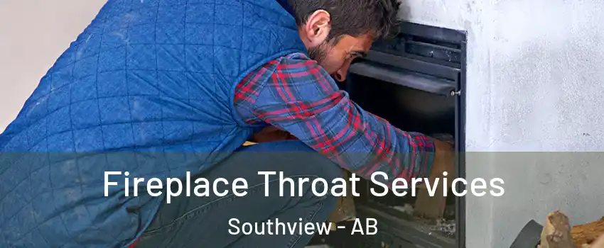  Fireplace Throat Services Southview - AB