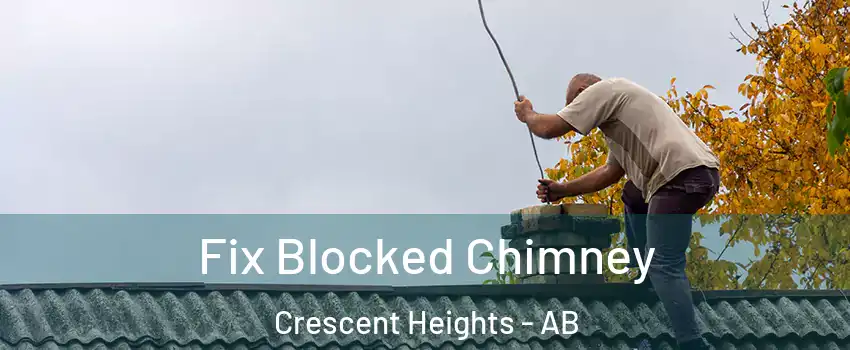  Fix Blocked Chimney Crescent Heights - AB
