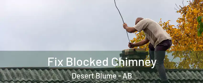  Fix Blocked Chimney Desert Blume - AB