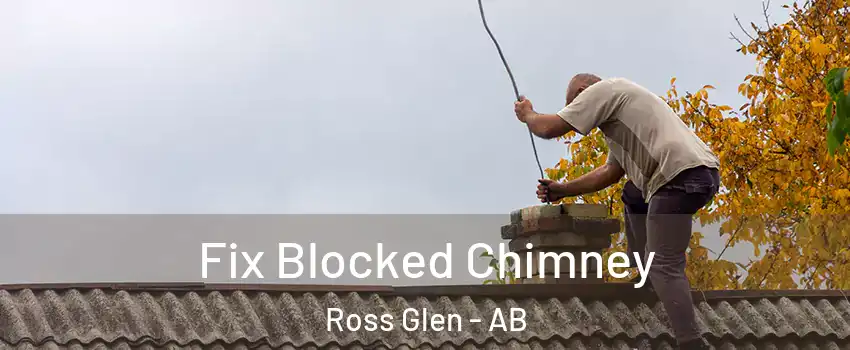  Fix Blocked Chimney Ross Glen - AB