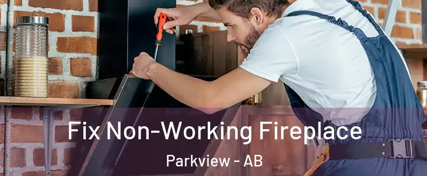  Fix Non-Working Fireplace Parkview - AB